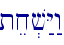 tex.v:Y:w\