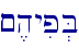 ~,hyip.B